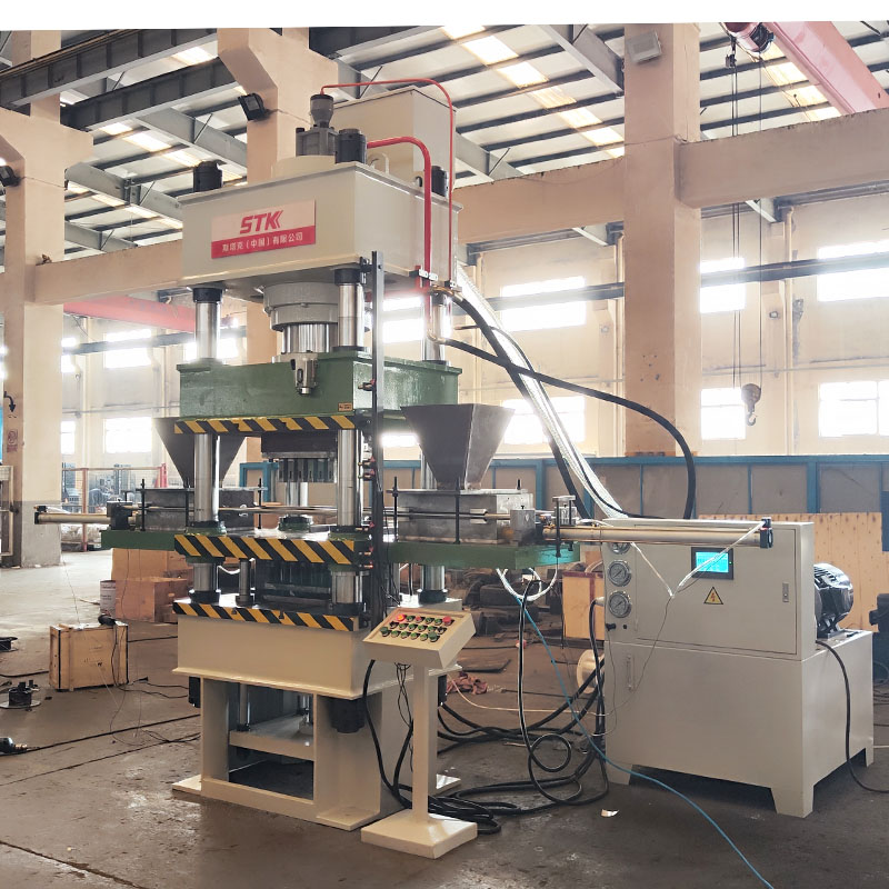 315T双侧双色鱼饵粉末成型液压机